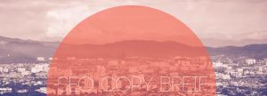 SEO Copy Breif