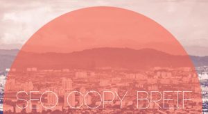 SEO Copy Brief