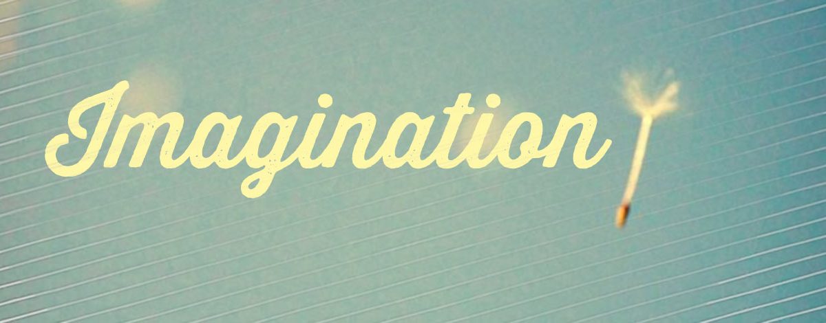 Imagination -seed pod- Albert Einstein