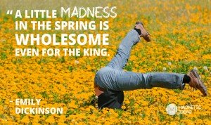 A little Madness in the Spring is Wholesome even for the King - Emily Dickensen