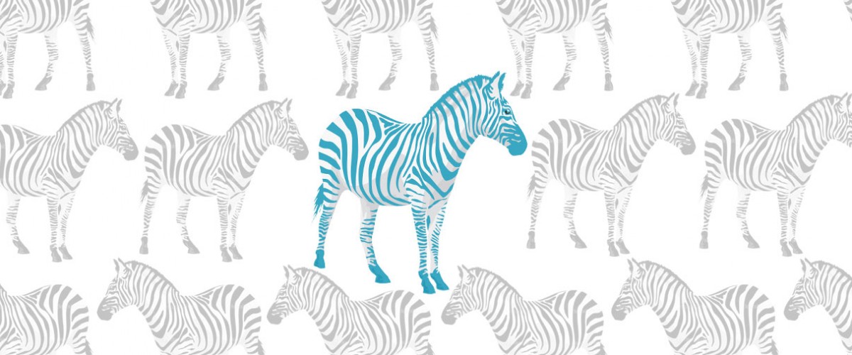 be Amazing-zebra, Maya Angela Quote